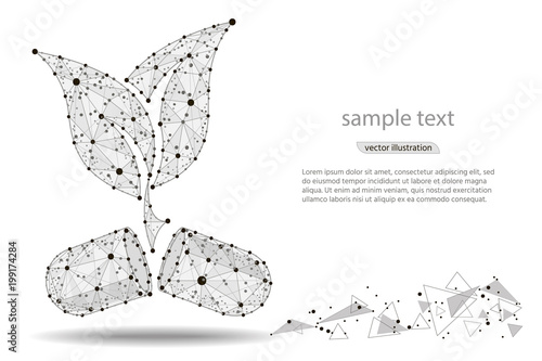 Pill With Herbs,isolated from low poly wireframe on white background. Vector abstract polygonal image mash line and point. Digital graphics. Vector Illustration