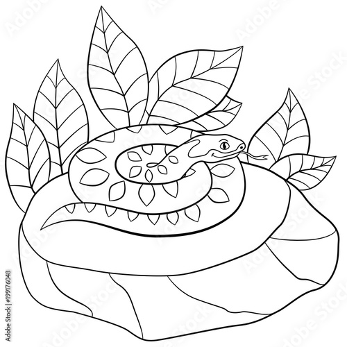 Coloring pages. Cute viper lies on the stone.