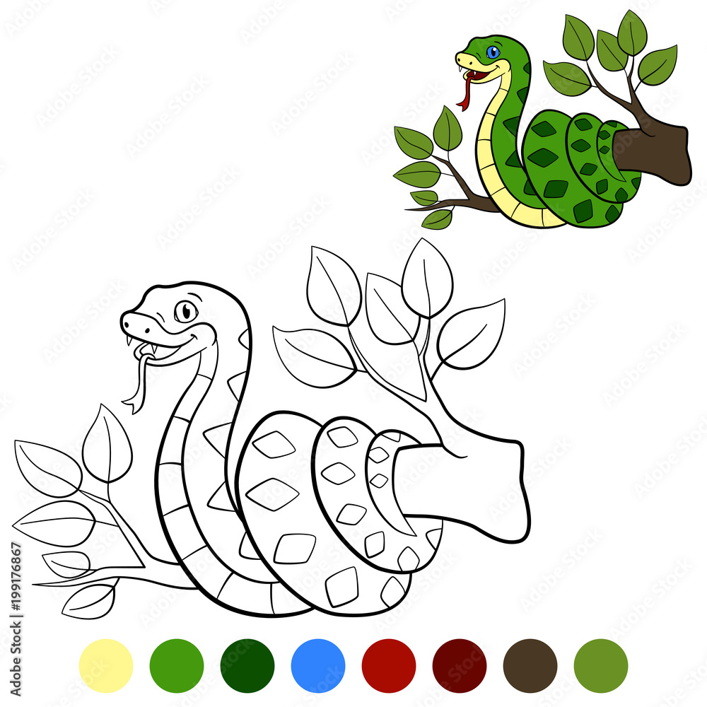 Fototapeta premium Color me: viper. Little cute baby viper lies on the tree.