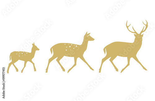 Deer collection - vector silhouette.