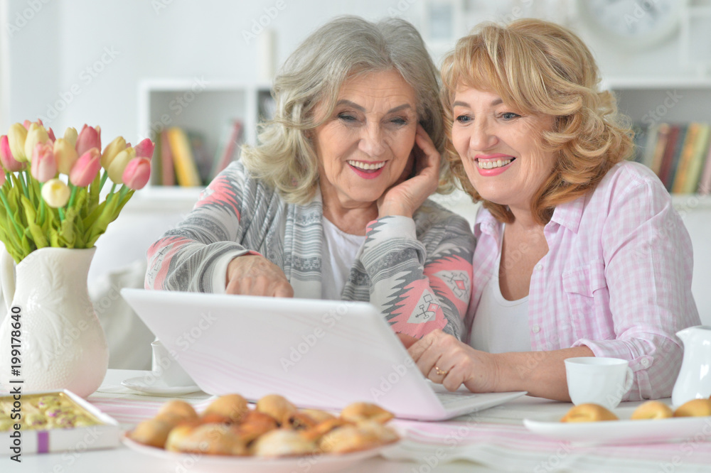 two  Senior women using laptop