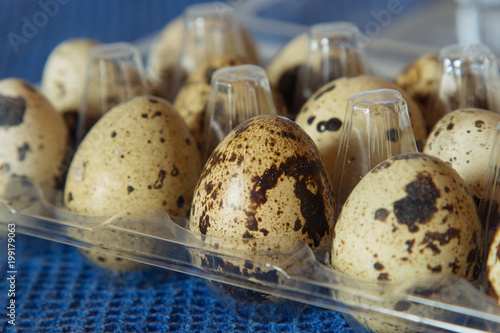 Group of Colorful Quail Eggs