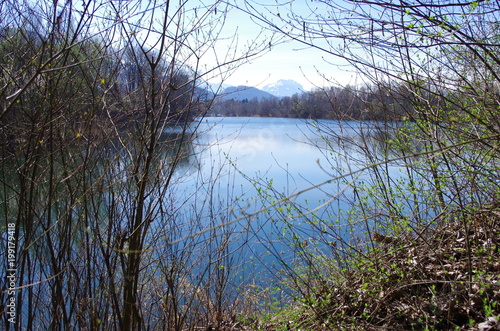 Alter Rhein im Frühling