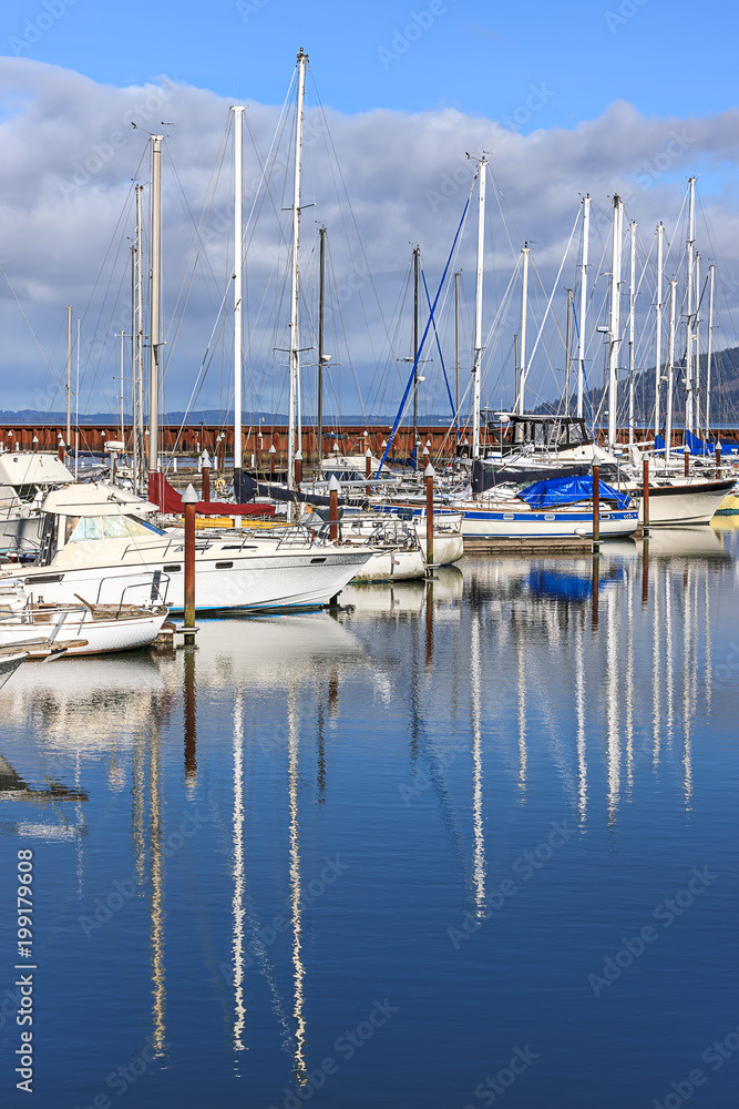 Boats in a marina on a sunny day.