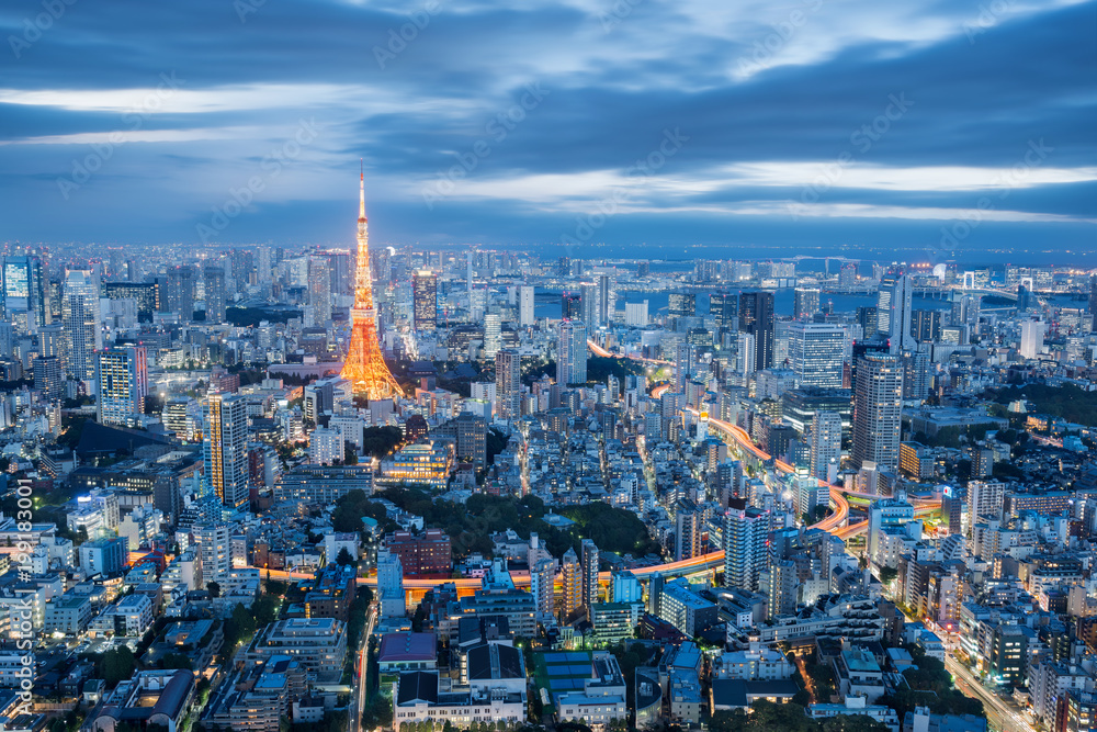 Fototapeta premium Tokyo skyline with tokyo tower taken at dusk in a cloudy evening, Tokyo, Japan