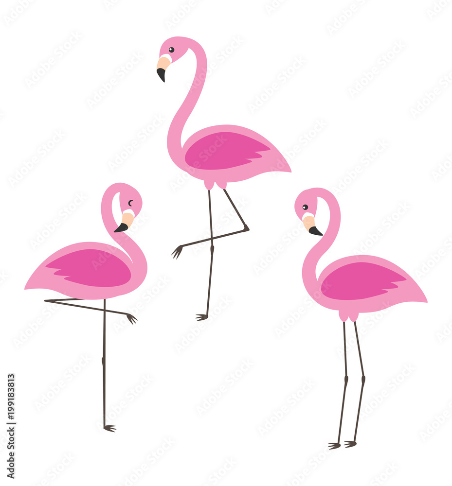 Obraz premium Vector set of cute cartoon pink flamingos