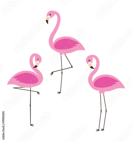 Vector set of cute cartoon pink flamingos