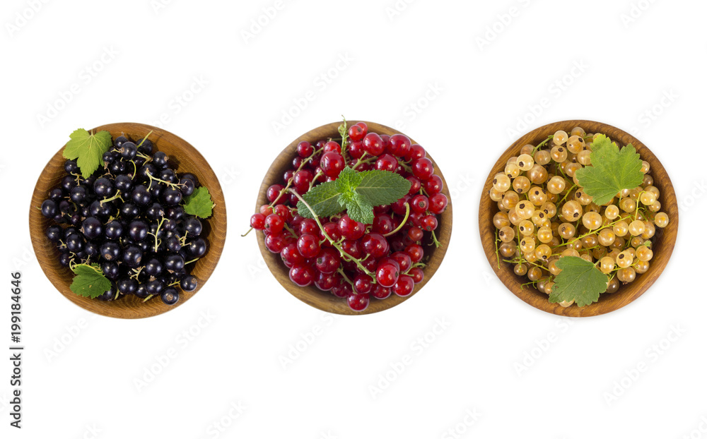 Set of different color currants isolated on white background cut out. White, red and black currant in a wooden bowl with copy space for text. Top view. Set of different color currants isolated on white background cut out. White, red and black currant in a wooden bowl with copy space for text. Top view.