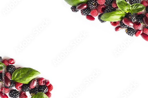 Ripe blackberries, raspberries, cornels and basil leaves on white background. Berries at border of image with copy space for text. Top view.  photo