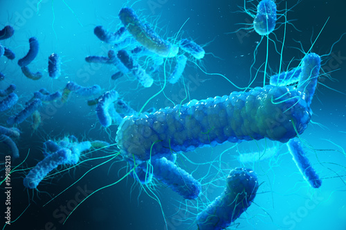 Enterobacterias Gram negativas Proteobacteria, bacteria such as salmonella, escherichia coli, yersinia pestis, klebsiella. 3D rendering. photo