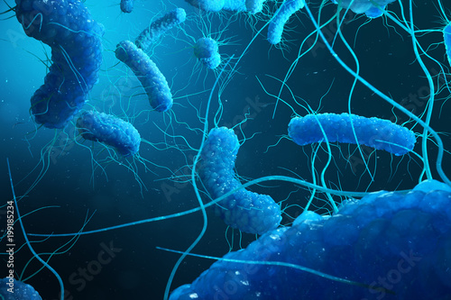 Enterobacterias Gram negativas Proteobacteria, bacteria such as salmonella, escherichia coli, yersinia pestis, klebsiella. 3D illustration photo