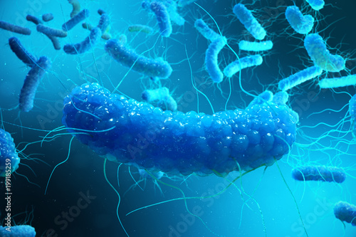 3D rendering Enterobacterias. Gram negativas Proteobacteria, bacteria such as salmonella, escherichia coli, yersinia pestis, klebsiella photo