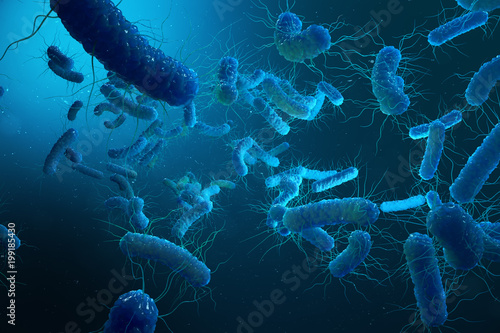 Enterobacterias Gram negativas Proteobacteria, bacteria such as salmonella, escherichia coli, yersinia pestis, klebsiella. 3D illustration. photo