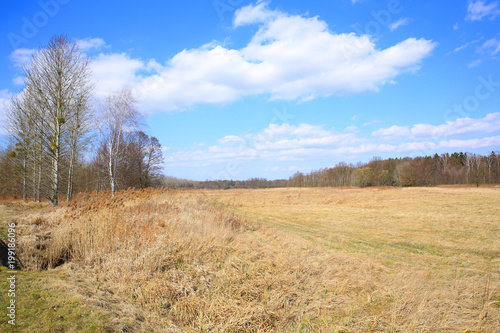 Idyllic landscape near Wroclaw in Silesia, Poland