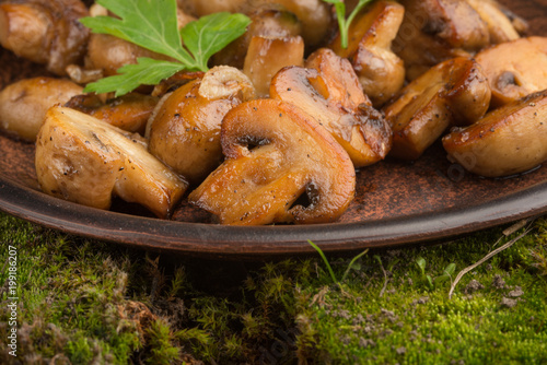 Fried mushrooms in a plate with greens on green moss. Macro