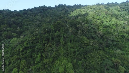 tilting and descending drone shot of a jungle near to a beach in the caribbean
