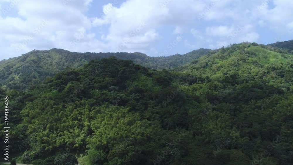 slow moving drone shot approaching a dense rain forrest slow moving drone shot approaching a dense rain forrest