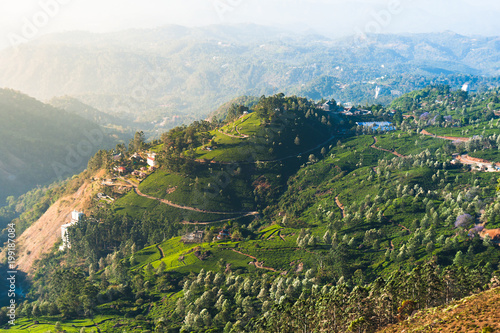 Tea plantation mountain landscape with roads and houses