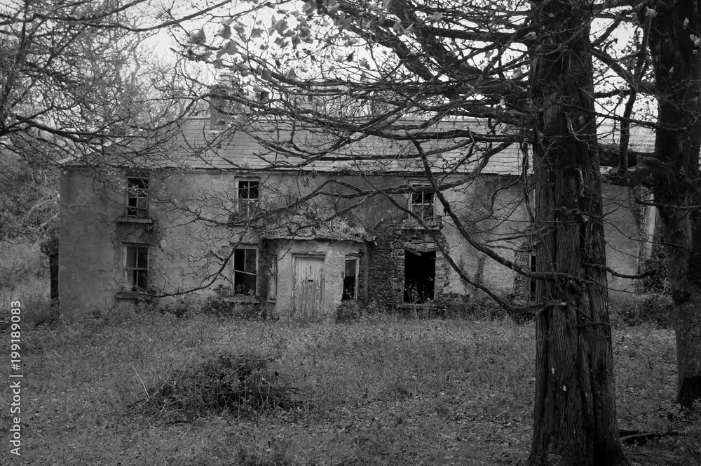 Obraz premium Abandoned farmhouse Ireland