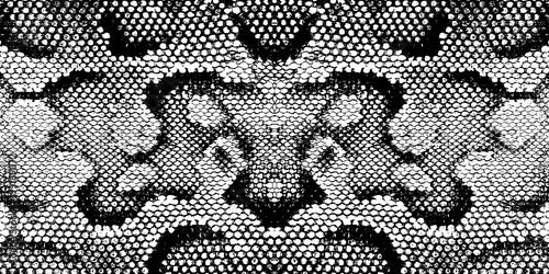 Fototapeta Print snake texture black white