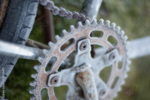 Frsoty chain wheel or cog