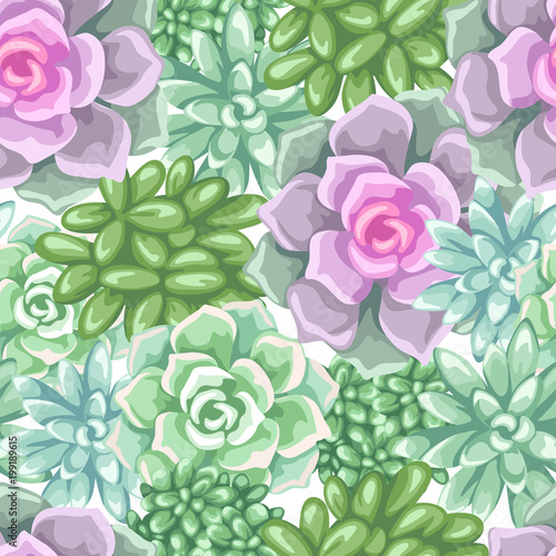 Seamless pattern with succulents. Echeveria, Jade Plant and Donkey Tails