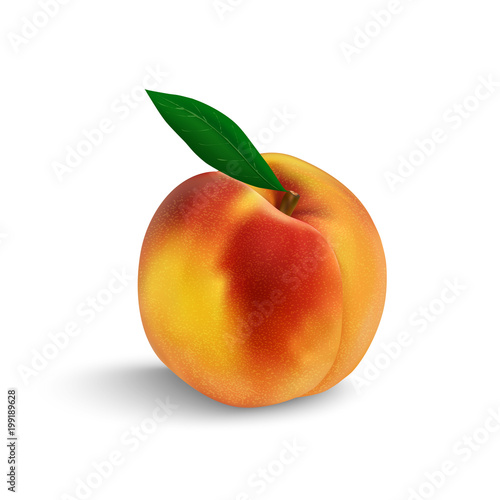 peach isolated in close-up