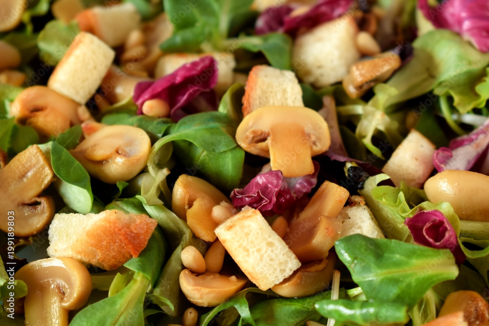 Close-up of salad with lettuce, champignons, pine nuts and croutons