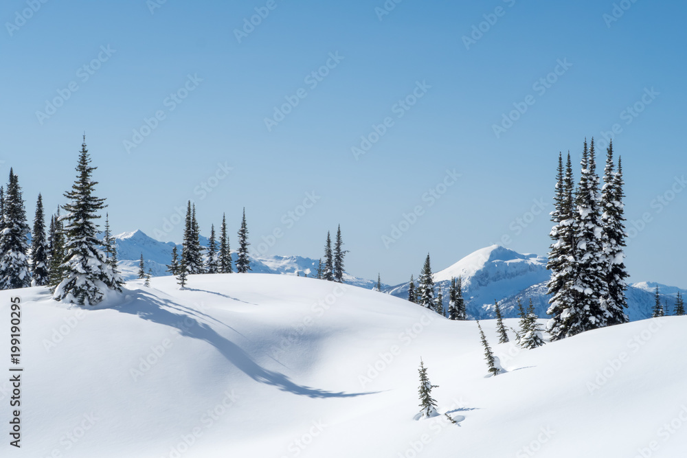 Powder day with deep blue sky, Revelstoke BC, Canada