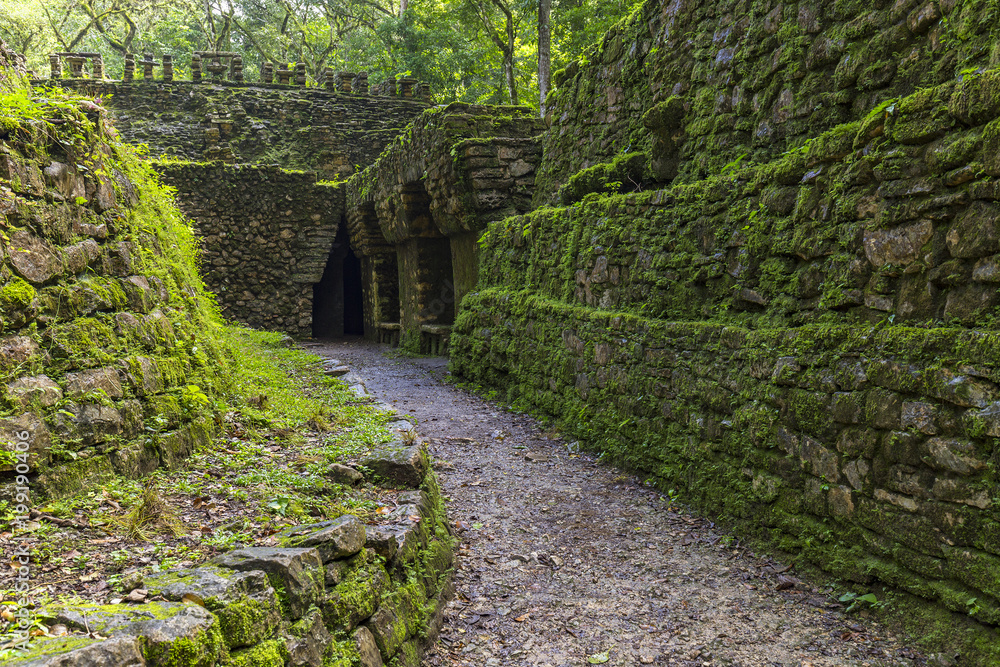 Mexico. The Yaxchilan Archaeological Park, the Mayan city hidden in the Lacandon Jungle - entrance to the Labyrinth (Structure number 19)