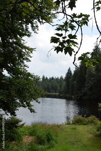 Karchesweiher bei Bischofsgrün photo