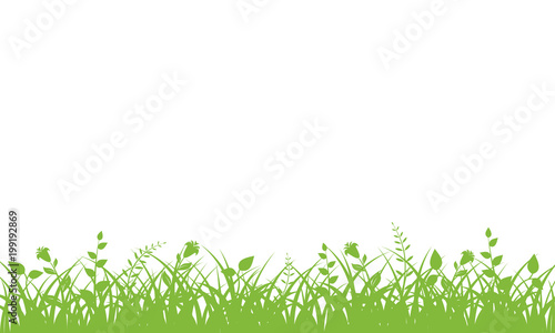 Green grass on white background.  © sanchesnet1