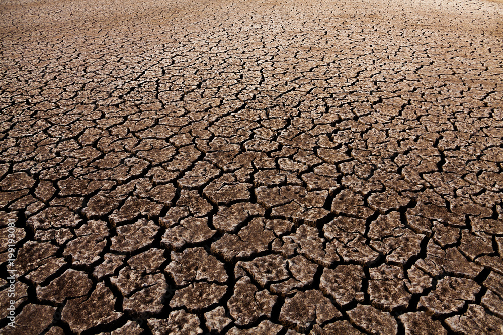 Cracked soil ground earth texture background Cracked soil ground earth texture background