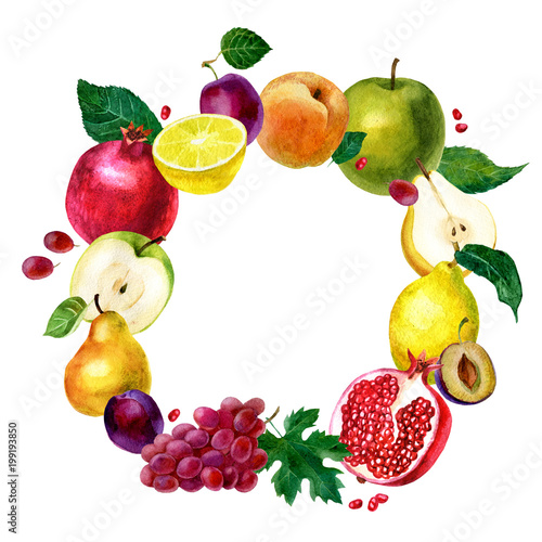 Watercolor illustration, round frame of fruits. Vegetarian food. Apple, pear, pomegranate, grapes, lemon, plum and peach.