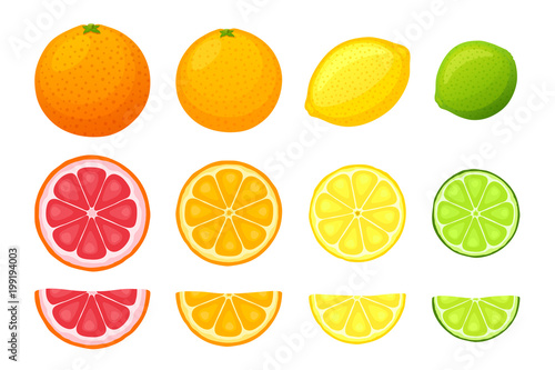 Vector illustration set of citrus fruits
