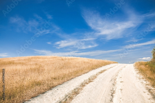 Road and beautiful summer landscape in yellow and blue color.