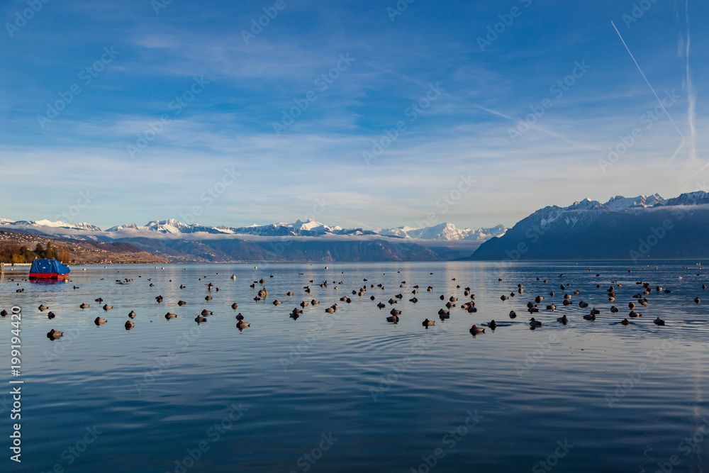  Beautiful view of Lake Geneva with red boat, snowy mountains and birds on water, Lausanne, Switzerland