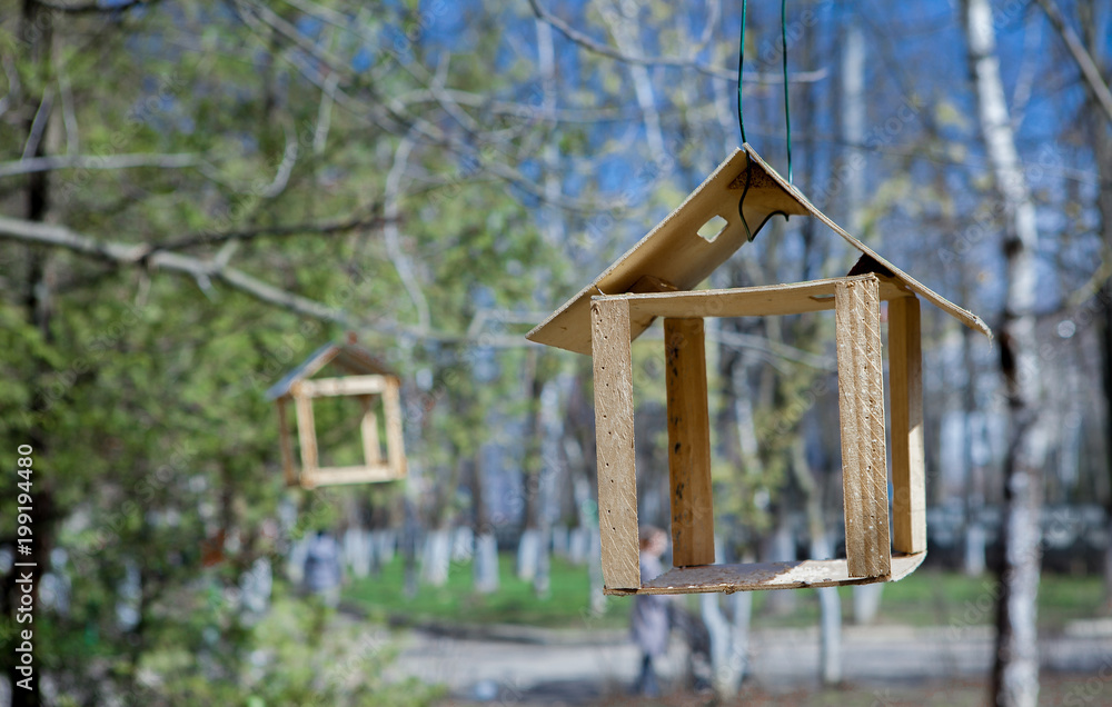 wooden bird feeder hanging on a branch of green tree. Nature care concept wooden bird feeder hanging on a branch of green tree. Nature care concept