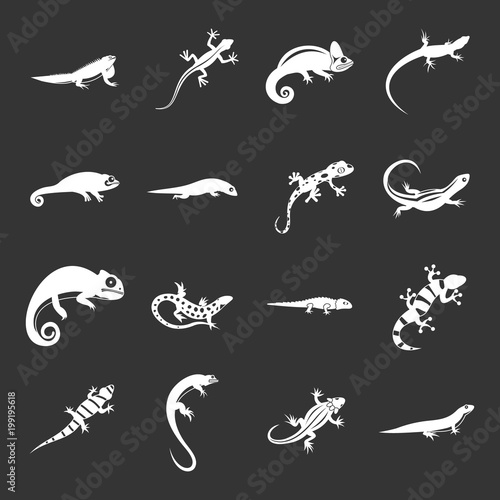 Lizard icons set grey vector