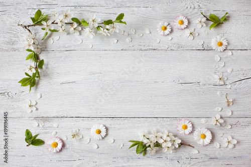 Fototapeta Naklejka Na Ścianę i Meble -  Background with daisies and blooming cherry, plum