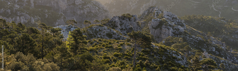 Beautiful sunrise landscape at Puertos de Beceite National Park showing Mediterranean vegetation and rocky mountains with contralight