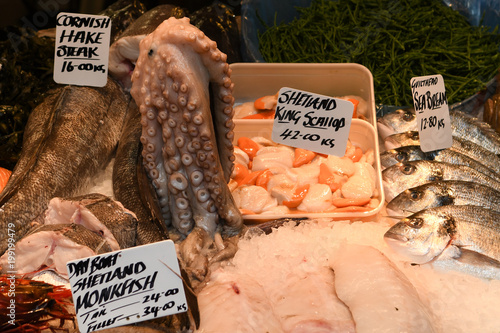 Fish in Food Market photo