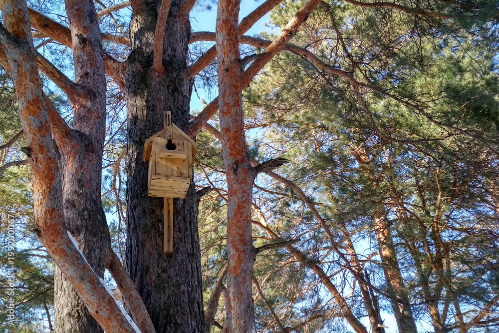 Birdhouse on the tree