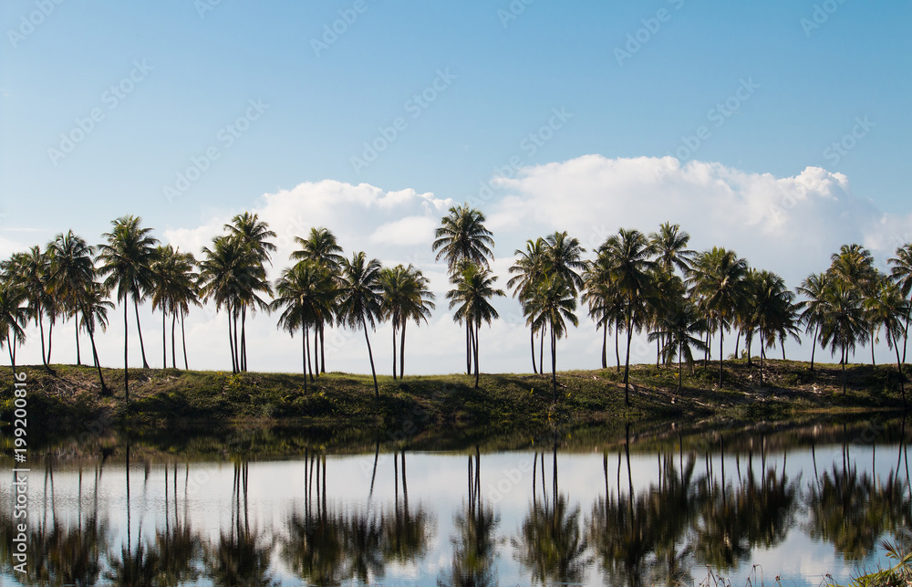 Tropical landscape with reflection of coconut trees in the water