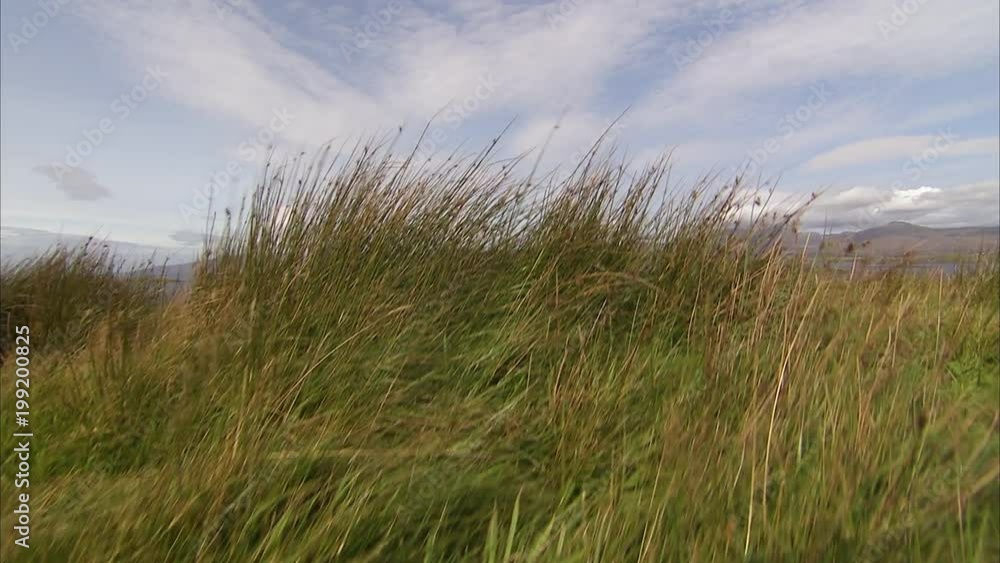 A medium shot of a grassy plains and a lake with sky A medium shot of a grassy plains and a lake with sky