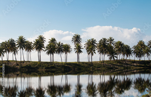 Tropical landscape with reflection of coconut trees in the water © Gustavo