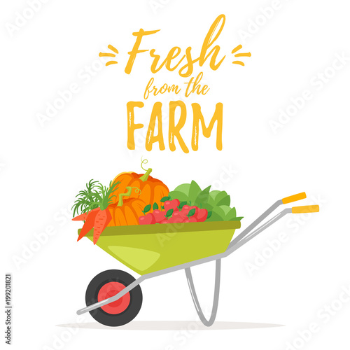 hand cart trolley with vegetables