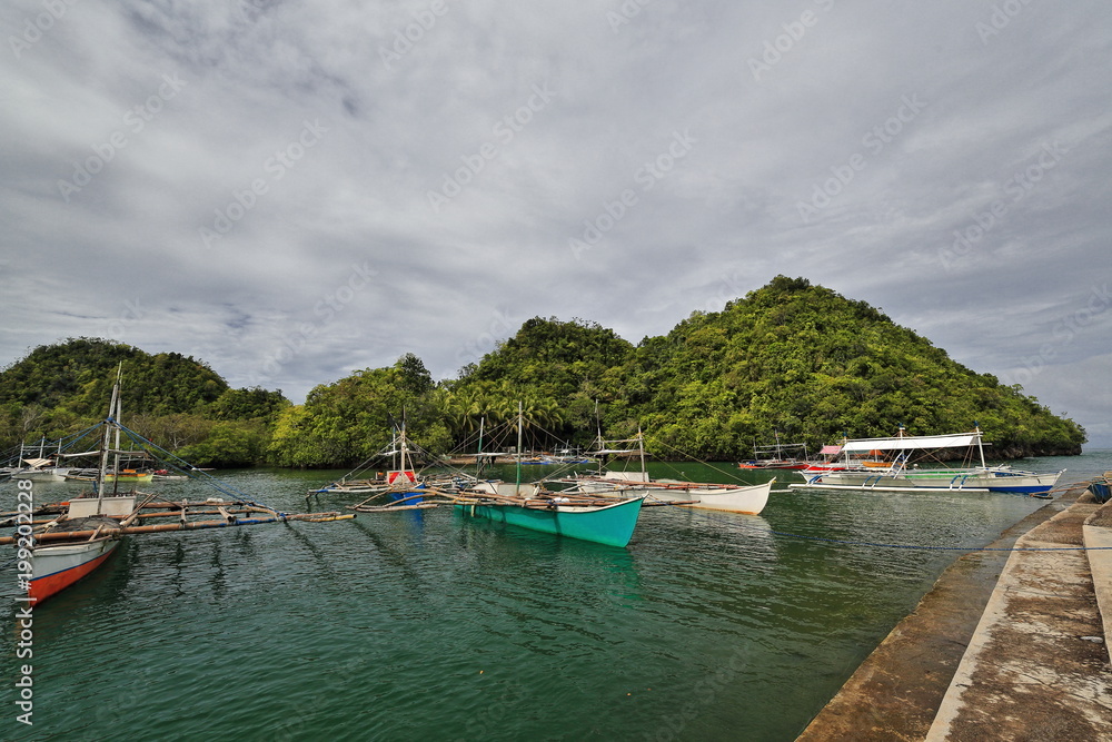 Balangay or bangka boats anchored-Panaon river mouth. Sipalay-Philippines. 0377
