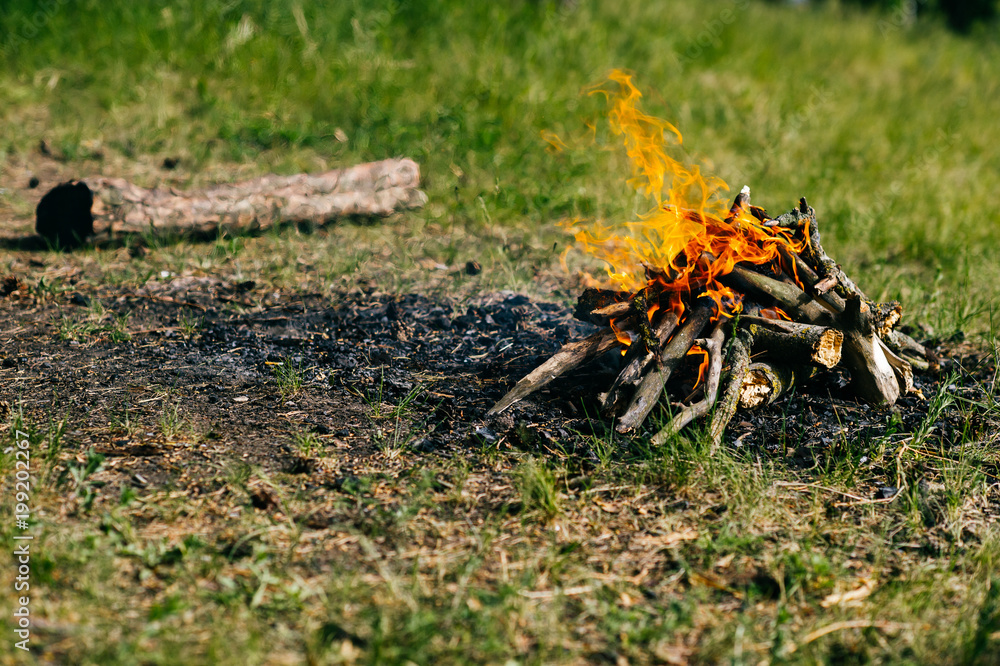 Burning firewood in outdoor summer camp on green abstract background. Travel and tourism. Nature leisure rest. Wood in flame. Lifestyle cozy place for dinner preparation. Smoldering coals and ash. Burning firewood in outdoor summer camp on green abstract background. Travel and tourism. Nature leisure rest. Wood in flame. Lifestyle cozy place for dinner preparation. Smoldering coals and ash.