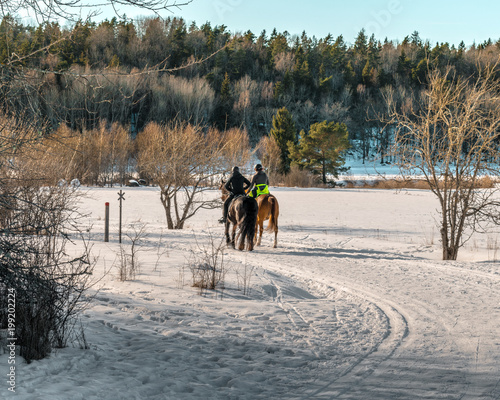 Horse riders in winter landscape © Andreas